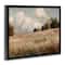 Stupell Industries Classic Cloudy Field Landscape Floater Framed Art